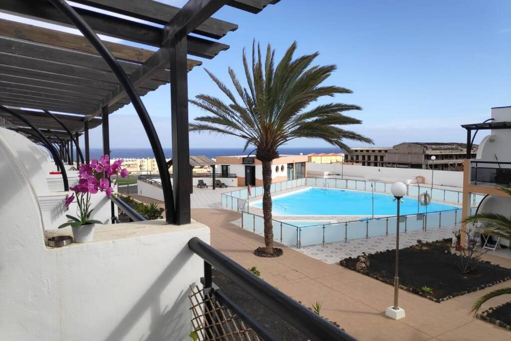 Summer Complex Amaya Fuerteventura Costa De Antigua