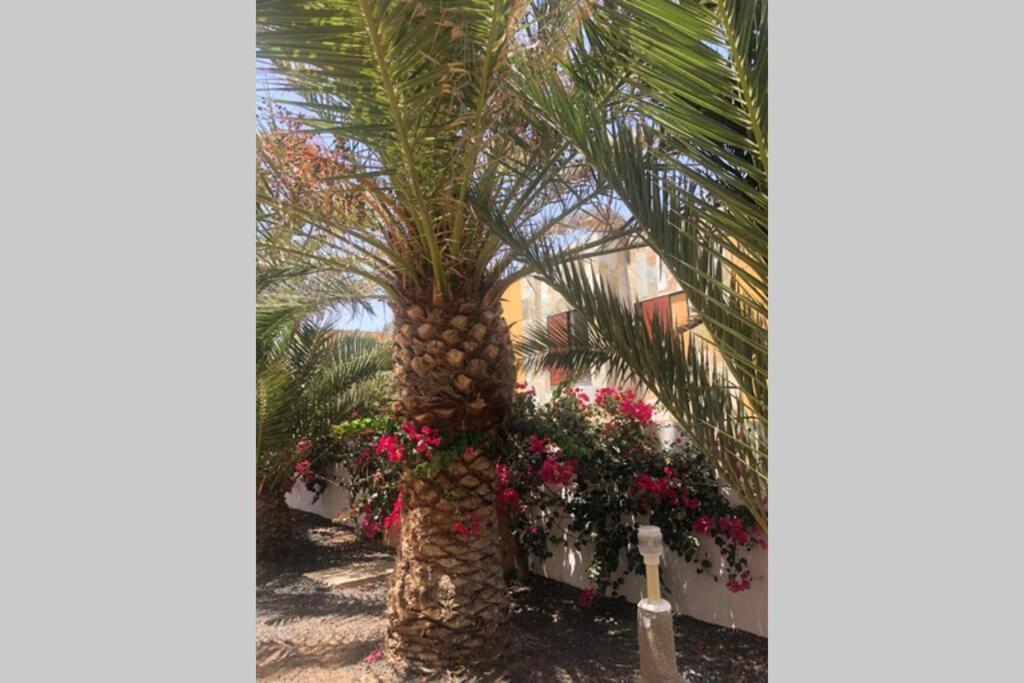 Appartement Summer Complex Amaya Fuerteventura *
